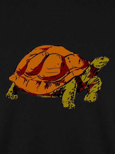 Schildkröte