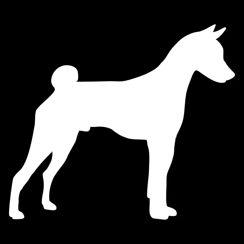 basenji