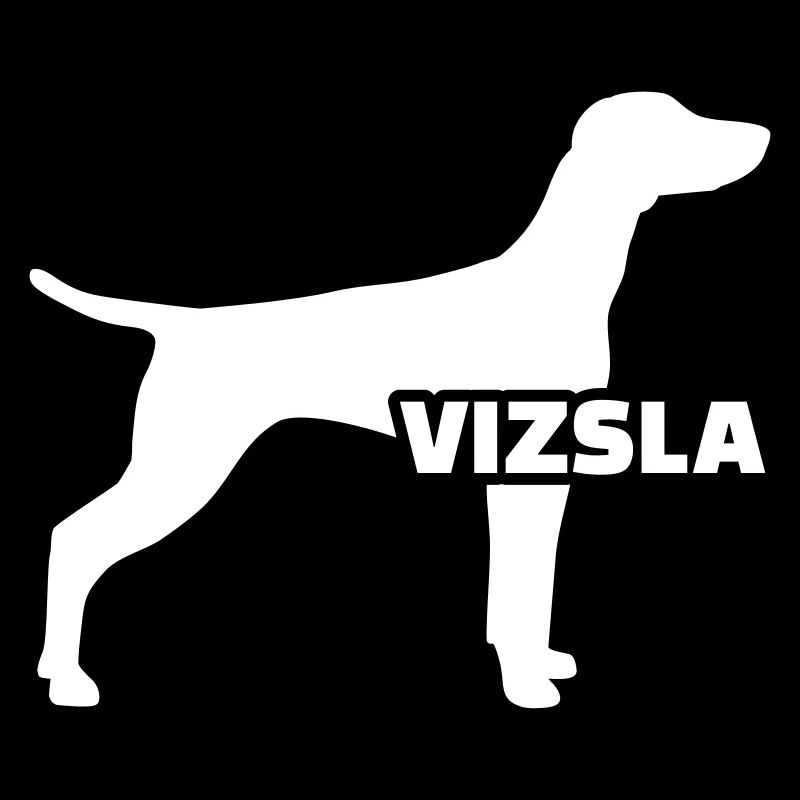 Vizsla