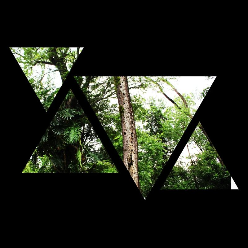 Wald | Natur | Dreieck | Geschenkidee