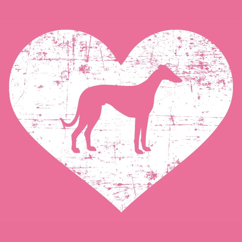 Whippet