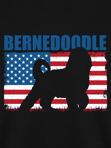 Bernedoodle Hund