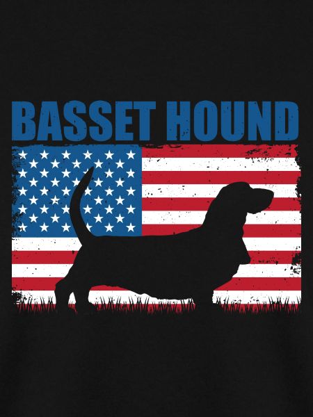 Basset Hound