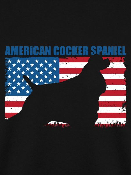 American Cocker Spaniel