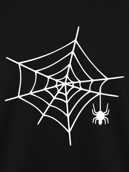 Spinnennetz Spinne