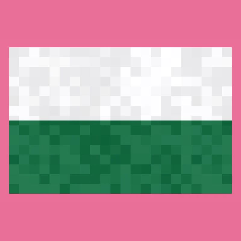 Drapeau de Saxe Drapeau saxon Ossi Holiday SN