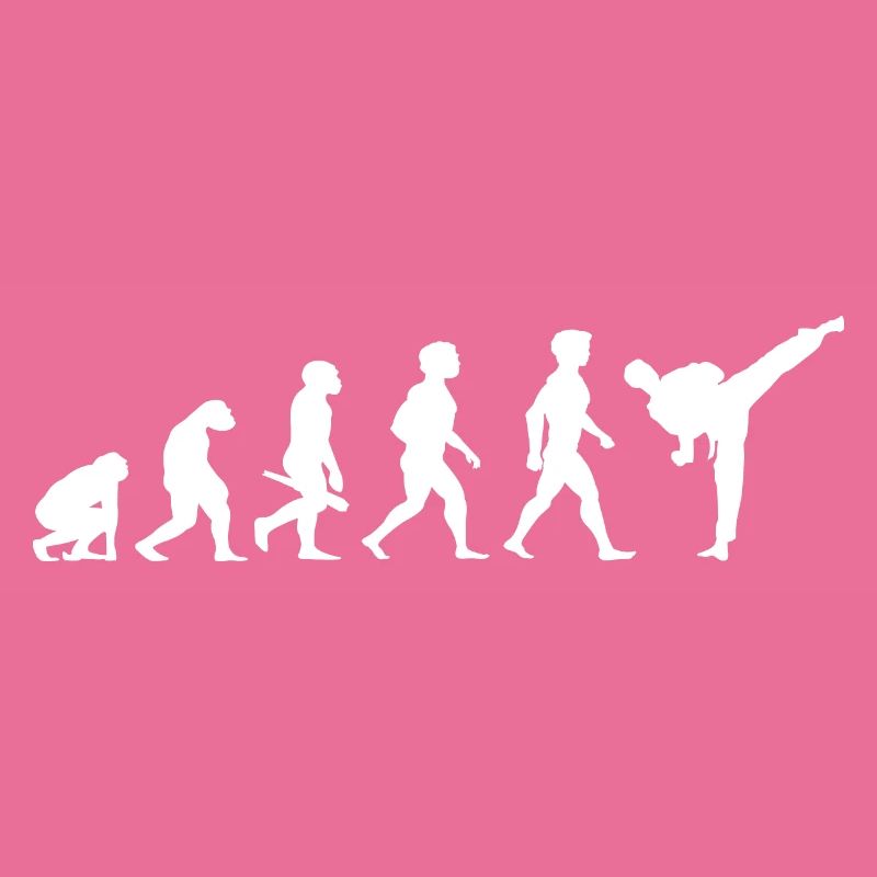 Evolution Karate Kampfsport
