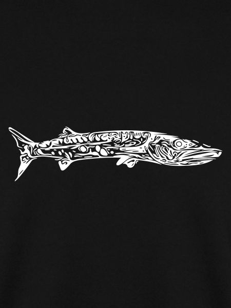 barracuda