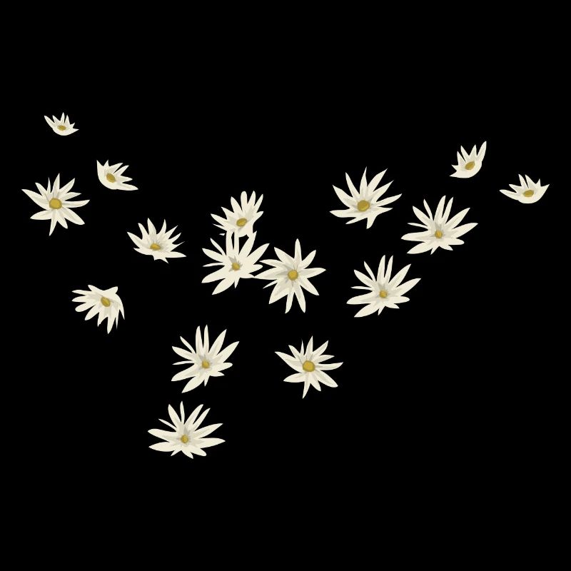 Gaenseblume Fruehling Natuerliche Geschenkidee
