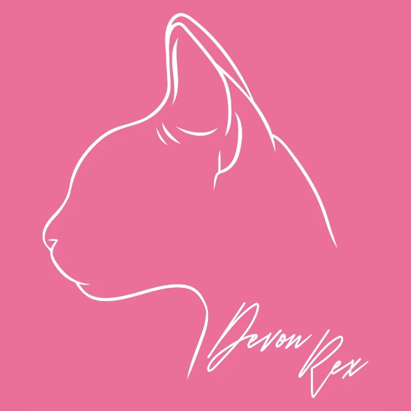 Devon Rex Profil Chat Chat Wilsigns