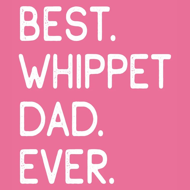 Whippet