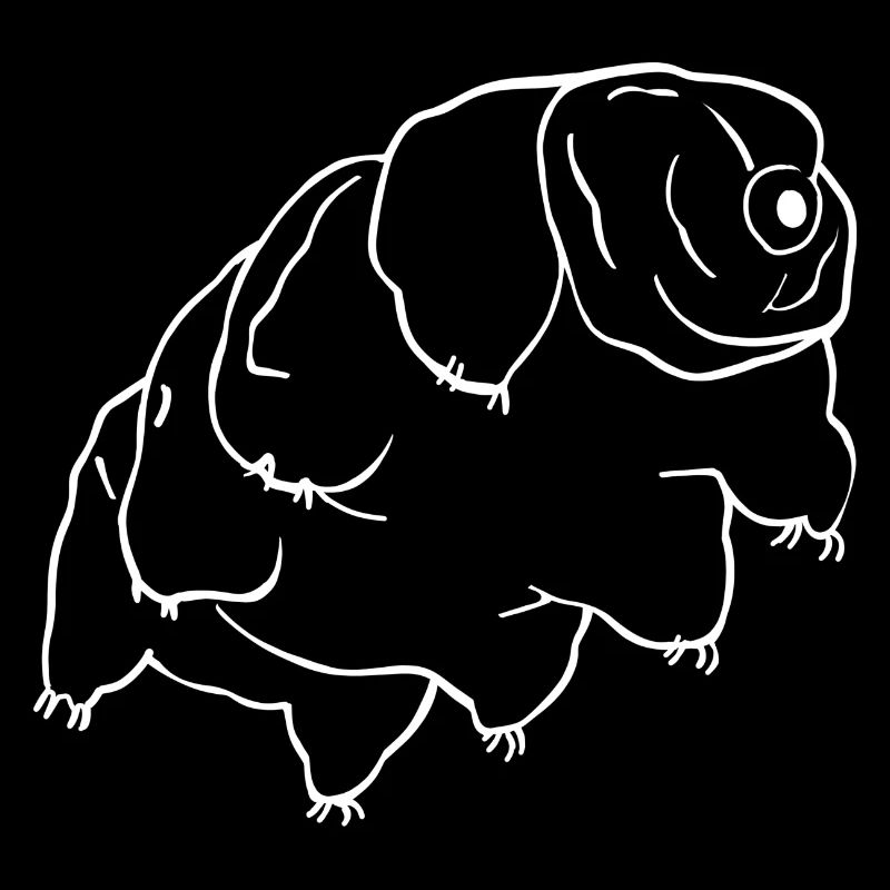 Bärtierchen
