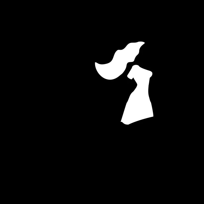 enterrement de vie de garçon et de jeune fille