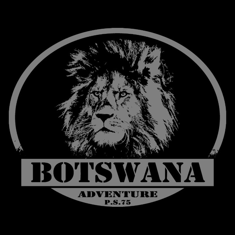 Botswana - Löwe