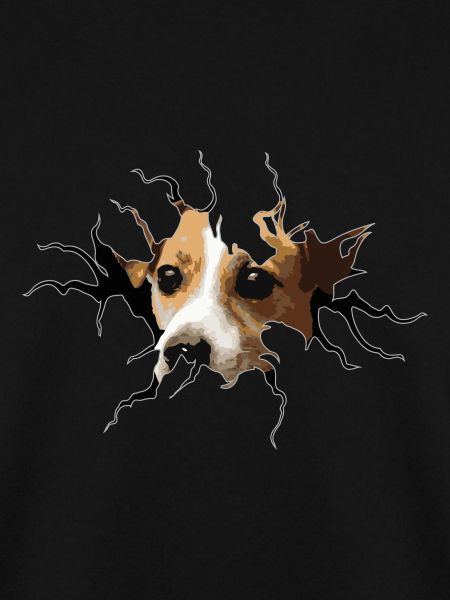 Jack Russell crack hole