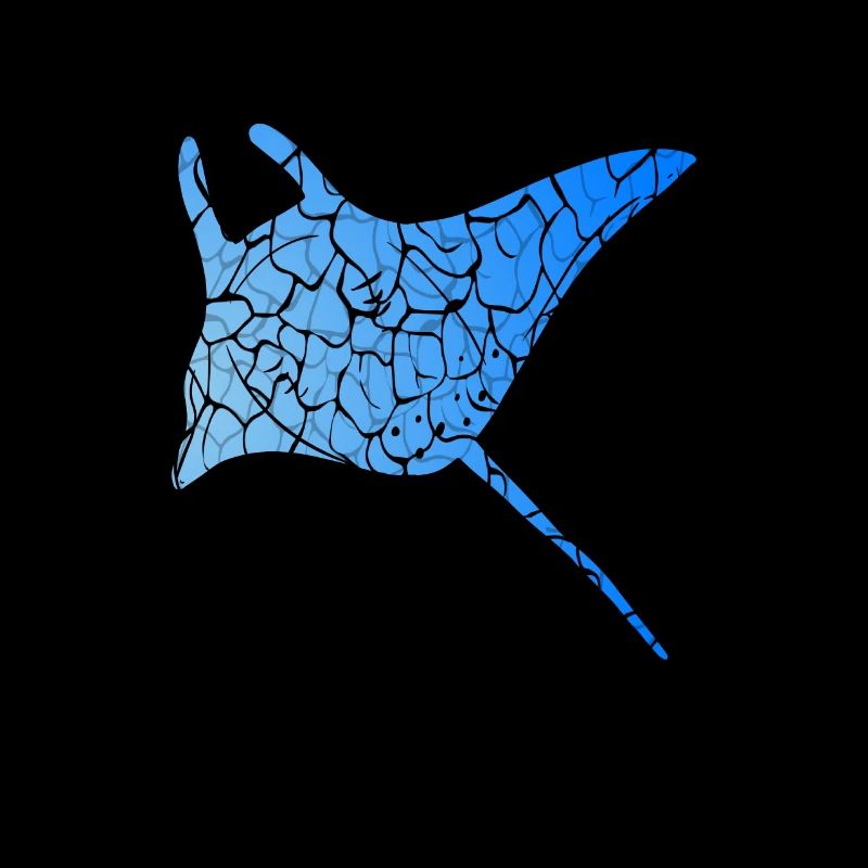 Tauchen Schnorcheln Gerätetauchen Geschenkidee