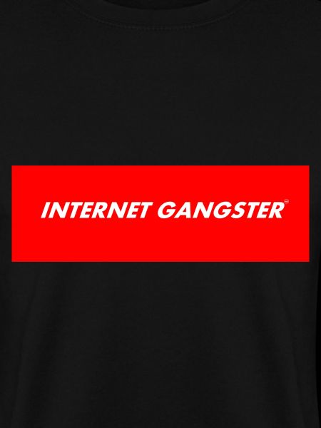 INTERNET GANGSTER