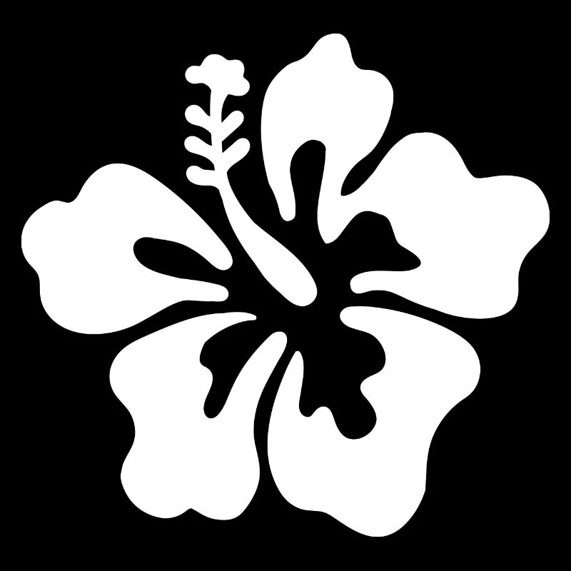 Hibiscus Flower - White
