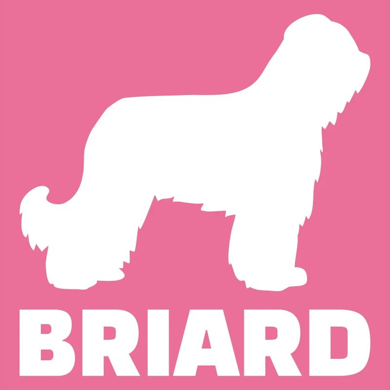 Briard