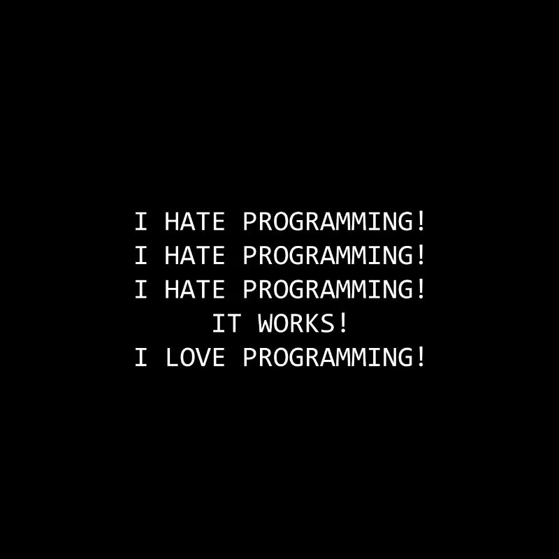 Lustiger Spruch Programmieren Informatiker Coder