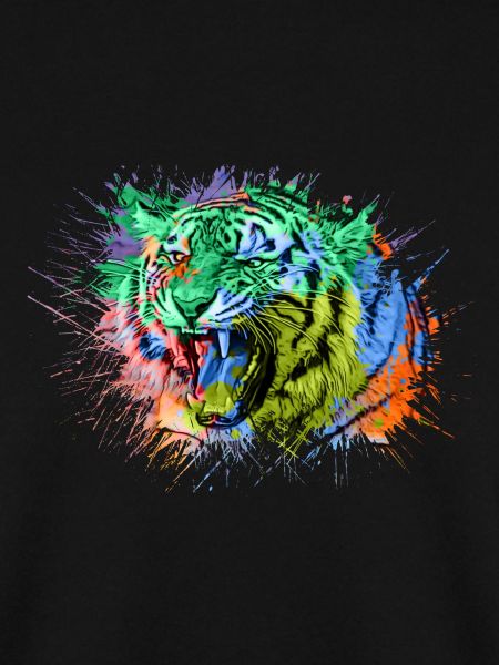 Tiger Regenbogen Bunt Tiere