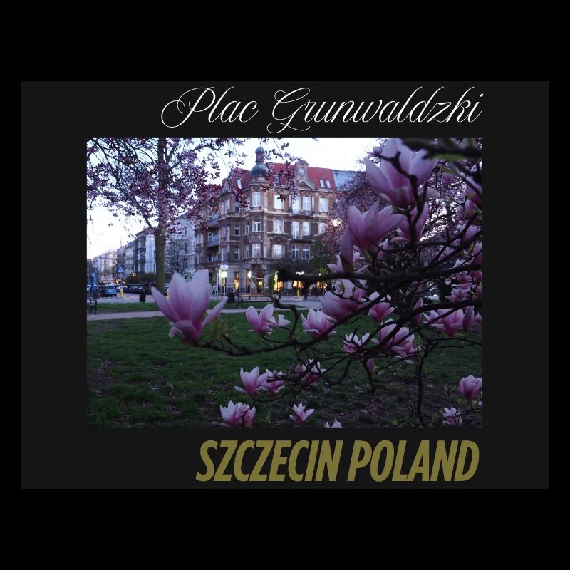 Plac gr Szczecin