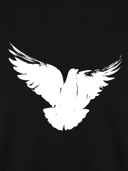 White Pigeon | Weiße Friedenstaube