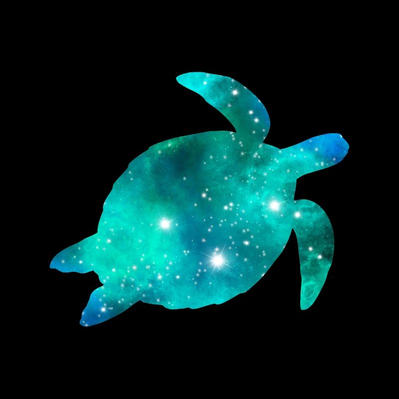 Galaxy Turtle