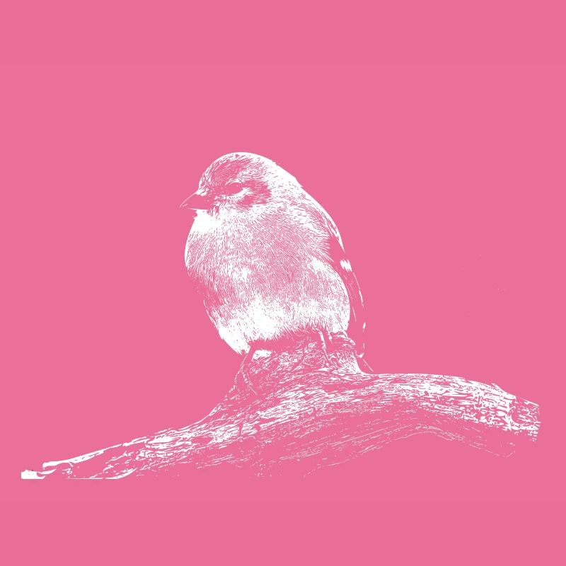 Kleiner Vogel
