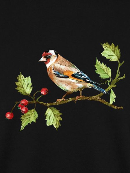 Bunter Vogel