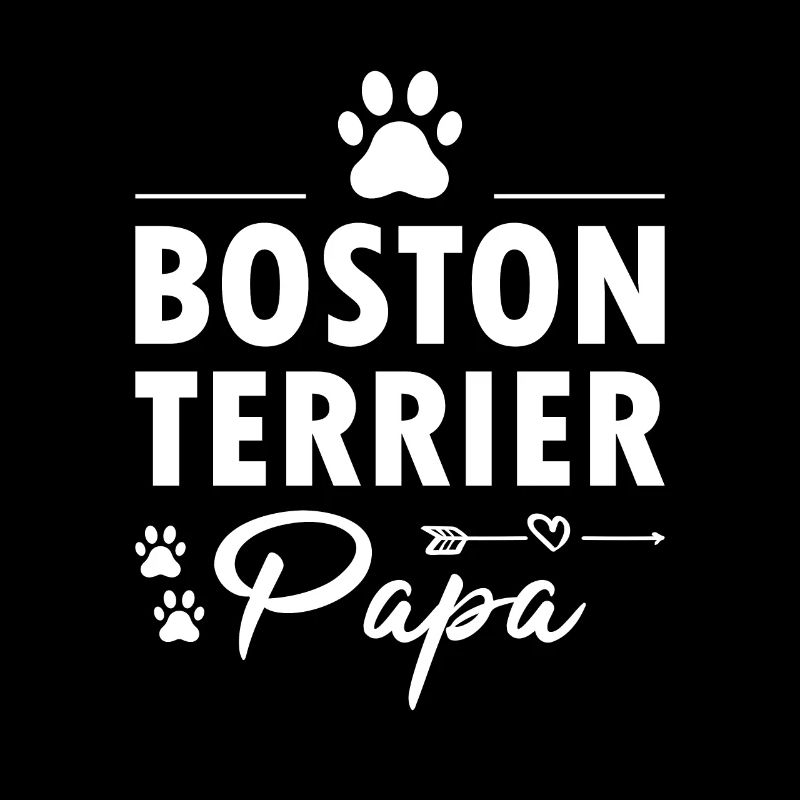Boston Terrier Papa