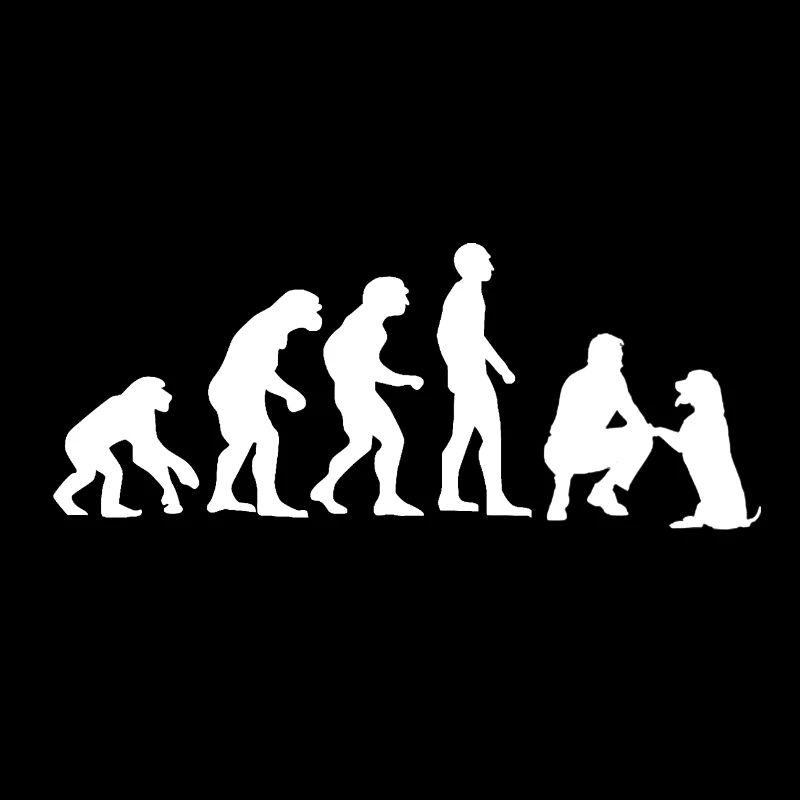 Amoureux de l'évolution humaine