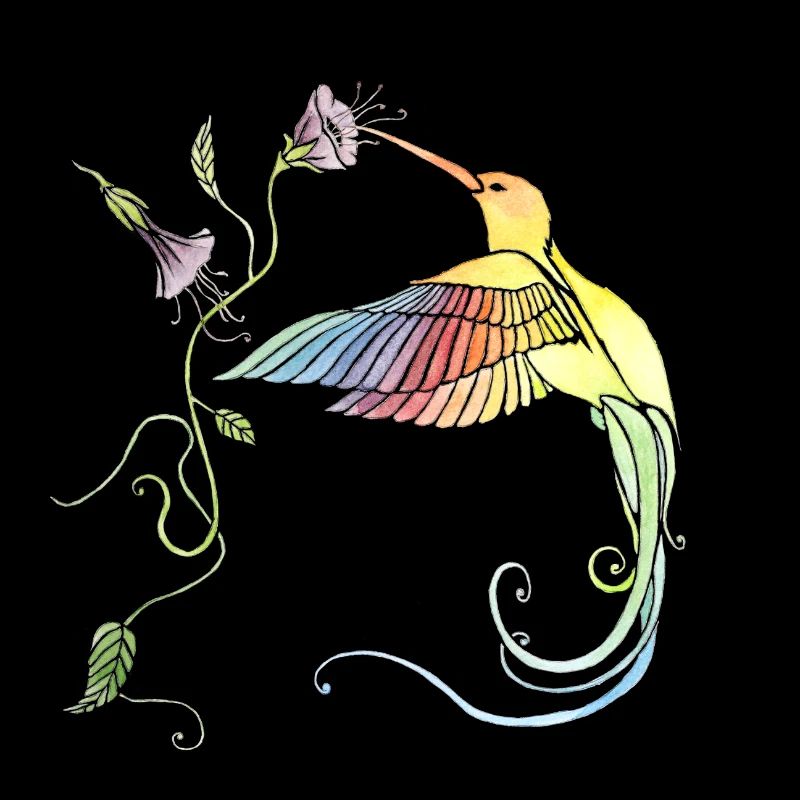 Kolibri