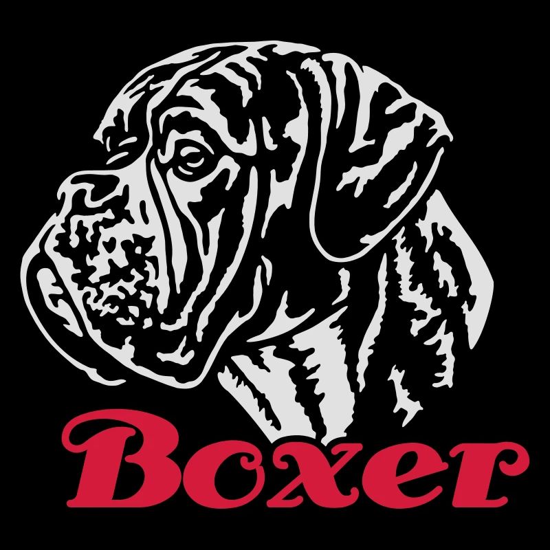 588 Boxer