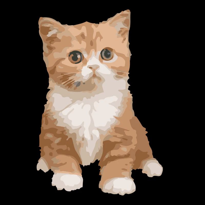 Katze - Katze