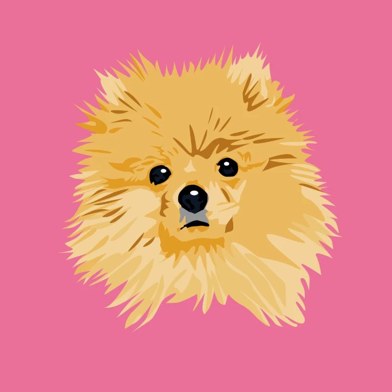 Pomeranian