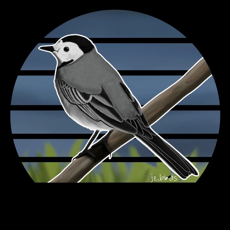 Illustration de conception d'oiseau bergeronnette peinte