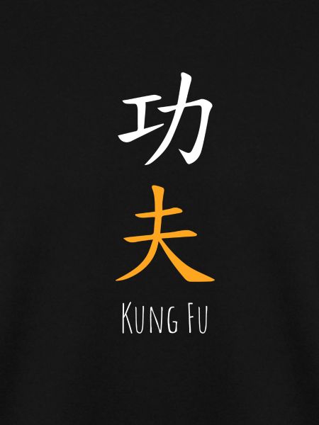 kung fu shaolin