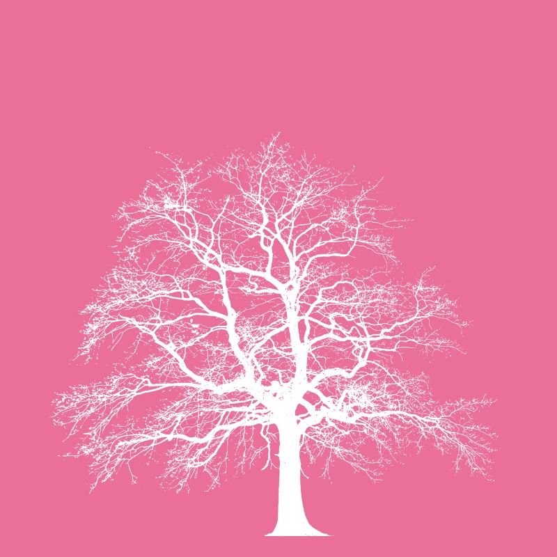 Baum