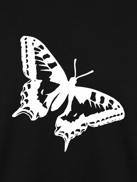 White Butterfly