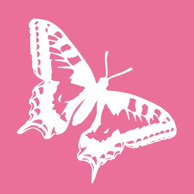 Papillon blanc