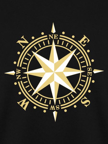 wind rose