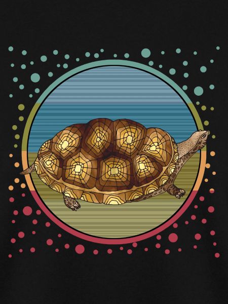 Tortoise