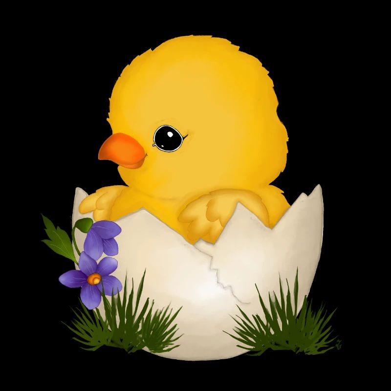 Bébé poussin