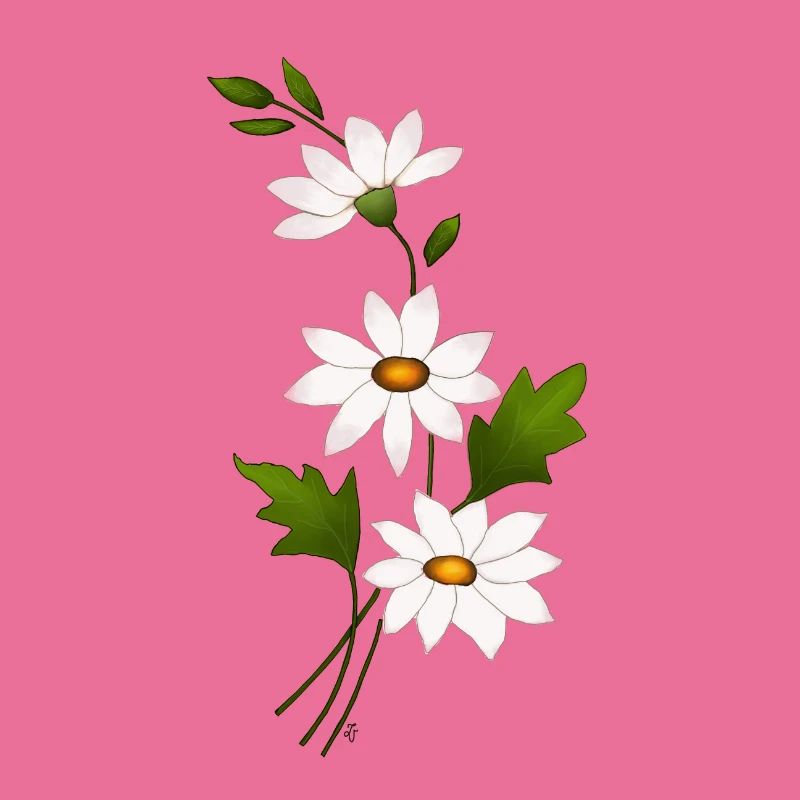 Gänseblümchenblüten