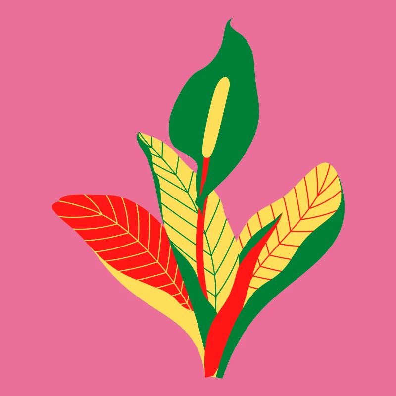 Anthurium