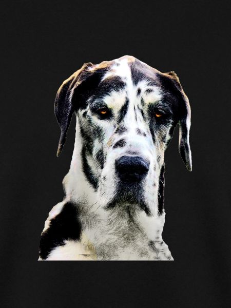 Deutsche Dogge