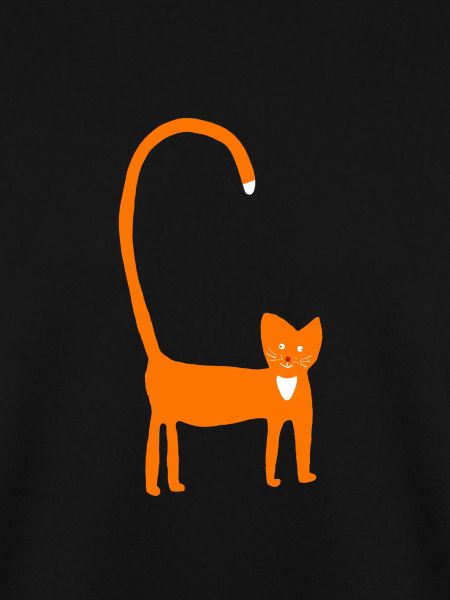 Cat in orange