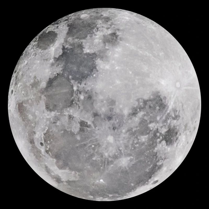 Echter Mond