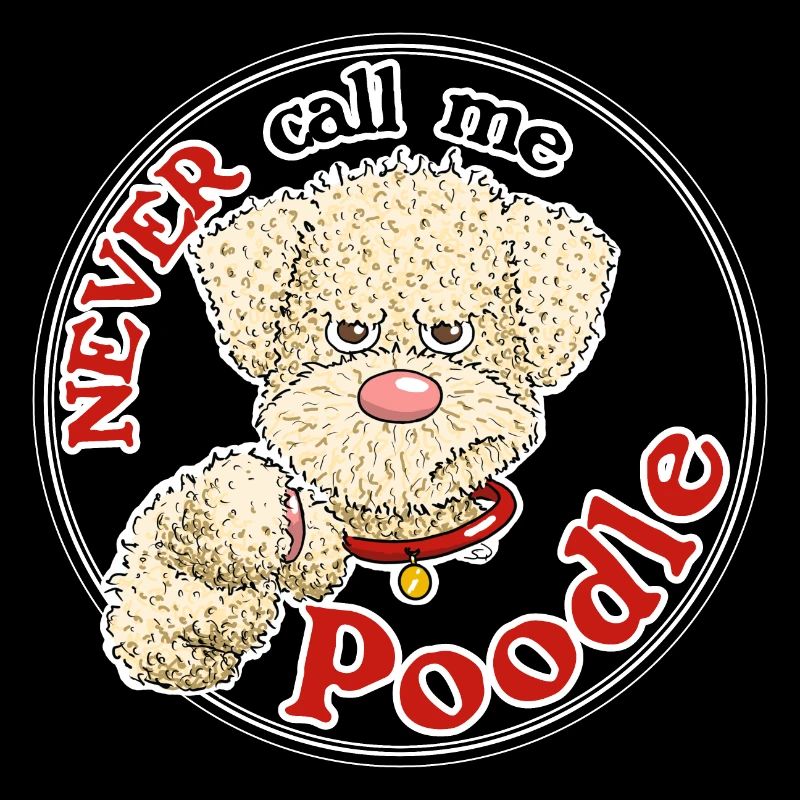 Poodle1 2